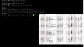 How Unix Treats Files Differently From Windows [upl. by Ennailuj]