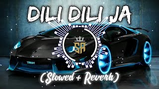 Dili Dili Ja  Arabic Remix Slowed  Reverb  Best Lofi Music🎧 [upl. by Olethea104]