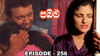 Pabalu  Episode 256 20231006 [upl. by Adaiha770]