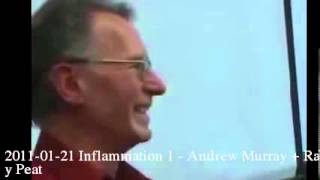 20110121 Inflammation 1  Andrew Murray  Ray Peat [upl. by Euqenimod]