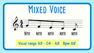 Mixed Voice Vocal Exercise for Men  MALE  NYA TWANG [upl. by Patrizio]