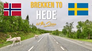 Driving in Norway 🇳🇴 from Brekken to Hede in Sweden 🇸🇪 in June 2024 [upl. by Pepillo]