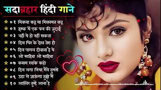 90’S Old Hindi Songs💘 90s Love Song💘 Udit Narayan Alka Yagnik Kumar Sanu [upl. by Colette]