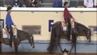 Extremely Hot Chips  AQHA World Show [upl. by Berkin]