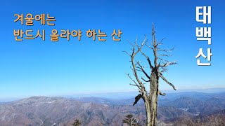 Taebaeksan Mustclimb mountains in winter 태백산 겨울에는 반드시 올라야 하는 산 [upl. by Rramaj418]