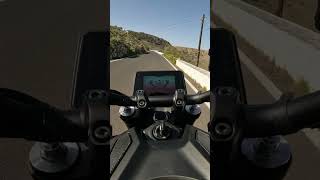 MT09 2024 Wheelies und Beschleunigung mt09 yamahamotorcycles wheelie acceleration [upl. by Anyak]