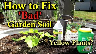 How to Fix Bad Garden Soil amp Cure Yellow Stunted Plants New Soils Can Be Problematic [upl. by Seibold187]