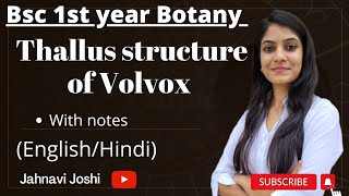 Volvox Thallus Structure NotesBsc 1st year Botany [upl. by Body]