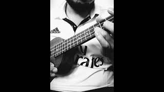 Tomar ghore boshot kore intro ukulele cover [upl. by Yrram]