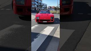 FERRARI F40 SURPRISES KNOKKEHEIST [upl. by Vally]