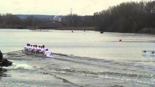 2013 Childs Cup Princeton Columbia Penn EARC HM V8 Crew Rowing [upl. by Orji]