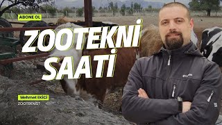 MEHMET ŞENİN İŞLETMESİNE KONUK OLDUK  ZOOTEKNİ SAATİ [upl. by Ndnarb]