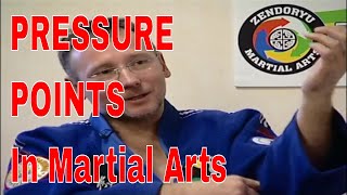 PRESSURE POINTS in Martial Arts Zsolt Szenasi Interview [upl. by Nidnal]