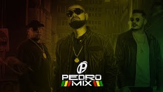 INSÔNIA 2  Tribo da Periferia Reggae Remix 2022 djpedromixofc [upl. by Leffert]