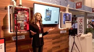 Rinnai Tankless Water Heater  IBSNAHB  Trade Show Presenter Amy McWhirter [upl. by Gurtner]