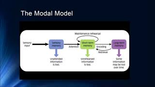 Cognition 4 1 The Modal Model and Sensory Memory [upl. by Acinomaj]