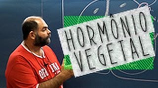 Biologia  Hormônio Vegetal  Oficina do Estudante cursinho vestibular e colégio [upl. by Hooge]