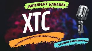 XTC karaoke  Seagulls Screaming Kiss Her Kiss Her wvideo background [upl. by Nozicka]