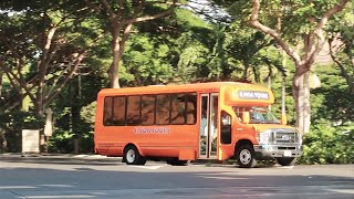 Taking A Hawaii Bus amp Walking Tour Of Honolulu Sites  Pearl Harbor  USS Missouri Ship amp Downtown [upl. by Debarath]