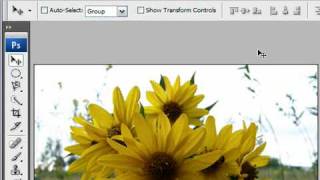 Adjust Image Resolution in Photoshop CS3 [upl. by Jemie99]