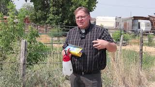 Gardening basics How to control bindweed in flower beds [upl. by Zetnas481]