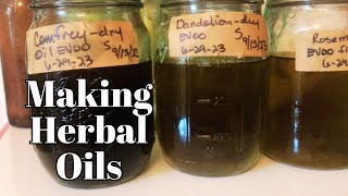 Homemade Oregano Oil Your Pantrys HealthBoosting Secret [upl. by Sheply774]