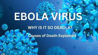 WHY IS EBOLA VIRUS SO DEADLY How Ebola Virus causes death [upl. by Naitsyrk722]