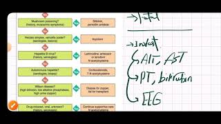 Fulminant Hepatic Failure MED1 41 [upl. by Nawaj]