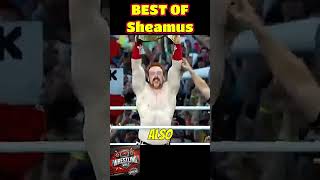 Sheamus From WWE Champion to Hollywood Star – Did You Know This [upl. by Nnanerak]