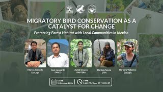 Migratory Bird Conservation A Catalyst for Change in Mexico [upl. by Milton]