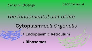 Cytoplasm and Endoplasmic reticulumand Ribosomes science pushpeshkiPathshala [upl. by Dale]