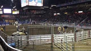 Full Contact Jousting Agribition November 2015 Regina Saskatchewan [upl. by Dinse]