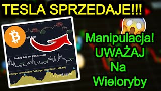 Bitcoin Znów Za 55000 Tesla Sprzedaje BTC Altcoiny Dominują Cena Bitcoina i Kryptowaluty 2021 [upl. by Nwotna915]