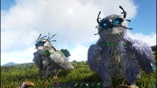 ARK Survival Evolved Day 99 on the Lost Island How to tame a Snow Owl [upl. by Conlen]