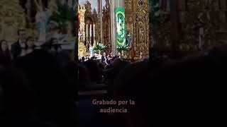 Un poco del concierto de Gloria de Vivaldi music classicalmusic barroco vivaldi vivaldigloria [upl. by Grubman]