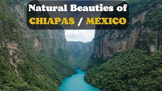 Magnificent Nature of Chiapas Mexico 4K Scenic Film With Peaceful Music [upl. by Remmus]