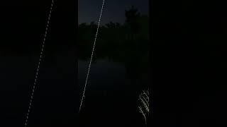 Catching Bream  Russian Fishing 4 [upl. by Sunshine]