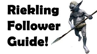 Skyrim How to get the Best Pet Follower Best Quest Series [upl. by Eanrahs381]