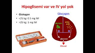 pediatrik STATUS EPİLEPTİKUS [upl. by Arad396]