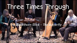 The Blackthorn Stick  The Butterfly Jig  Three Times Through [upl. by Tihom]