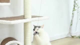 Electronic Motion Cat Toy Lifting Ball [upl. by Jase]