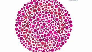 Colorlite tritan color blindness test  wwwcolorlitelenscom [upl. by Rednasela570]