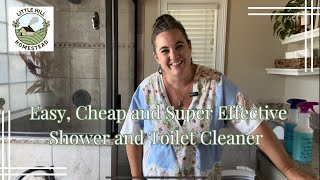 Shower and toilet cleaner Effective cheap and easy to make [upl. by Acirehs743]