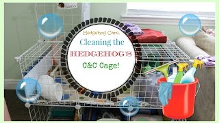 Hedgehog Care Cleaning The Hedgehogs CampC Cage [upl. by Aihsem871]