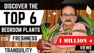 टॉप 6 बेडरूम पौधे  आपके स्वस्थ्य और खुशहाल जीवन के लिए I TOP 6 BEDROOM PLANTS [upl. by Petrie]