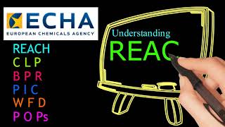 Understanding REACH Legislation [upl. by Paola]