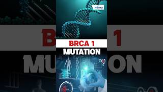 What is a BRCA Gene Mutation 🤔 ndascience sciencebyswatimam [upl. by Ahsinal]