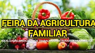 FEIRA DA AGRICULTURA FAMILIAR01 DE NOVEMBRO2024 [upl. by Derry]