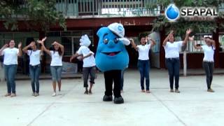 Cultura del agua Visitas y Festivales en Escuelas  SEAPAL VALLARTA [upl. by Werdnaed285]