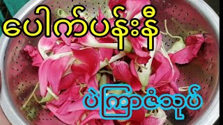 Sesbania Grandiflora with Glass NoodleVegetable Hummingbird Salad Recipeပေါက်ပန်းနီပဲကြာဇံသုပ် [upl. by Anirbys931]